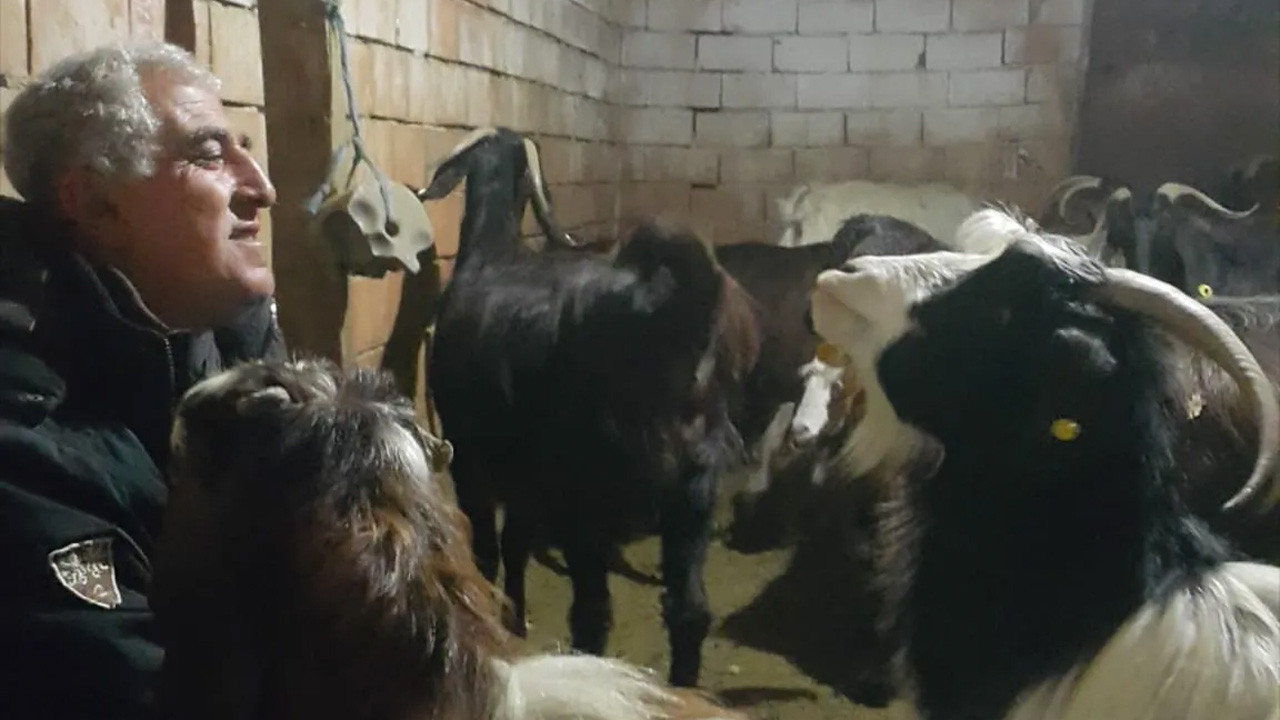 Keçi sürüsü için Afgan çoban bulan köylü öyle bir hale düştü ki…