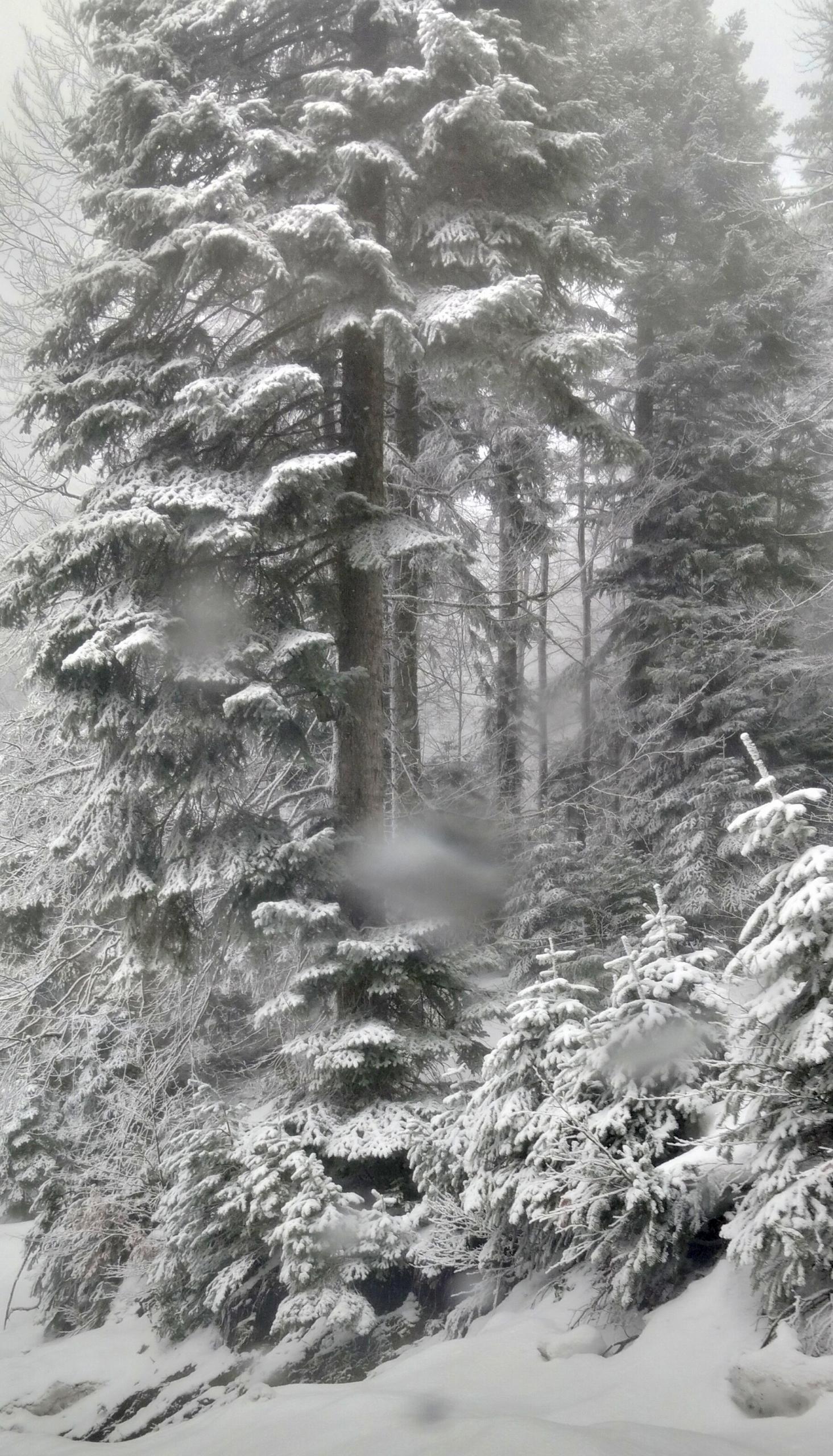 KADRAJIMDAKİ DÜNYA